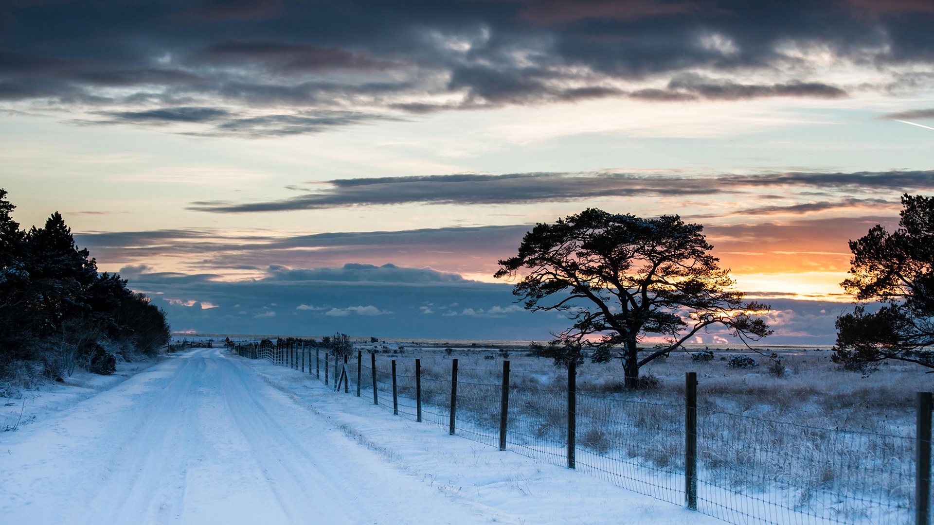天見其明，地見其光，君子貴其全也。